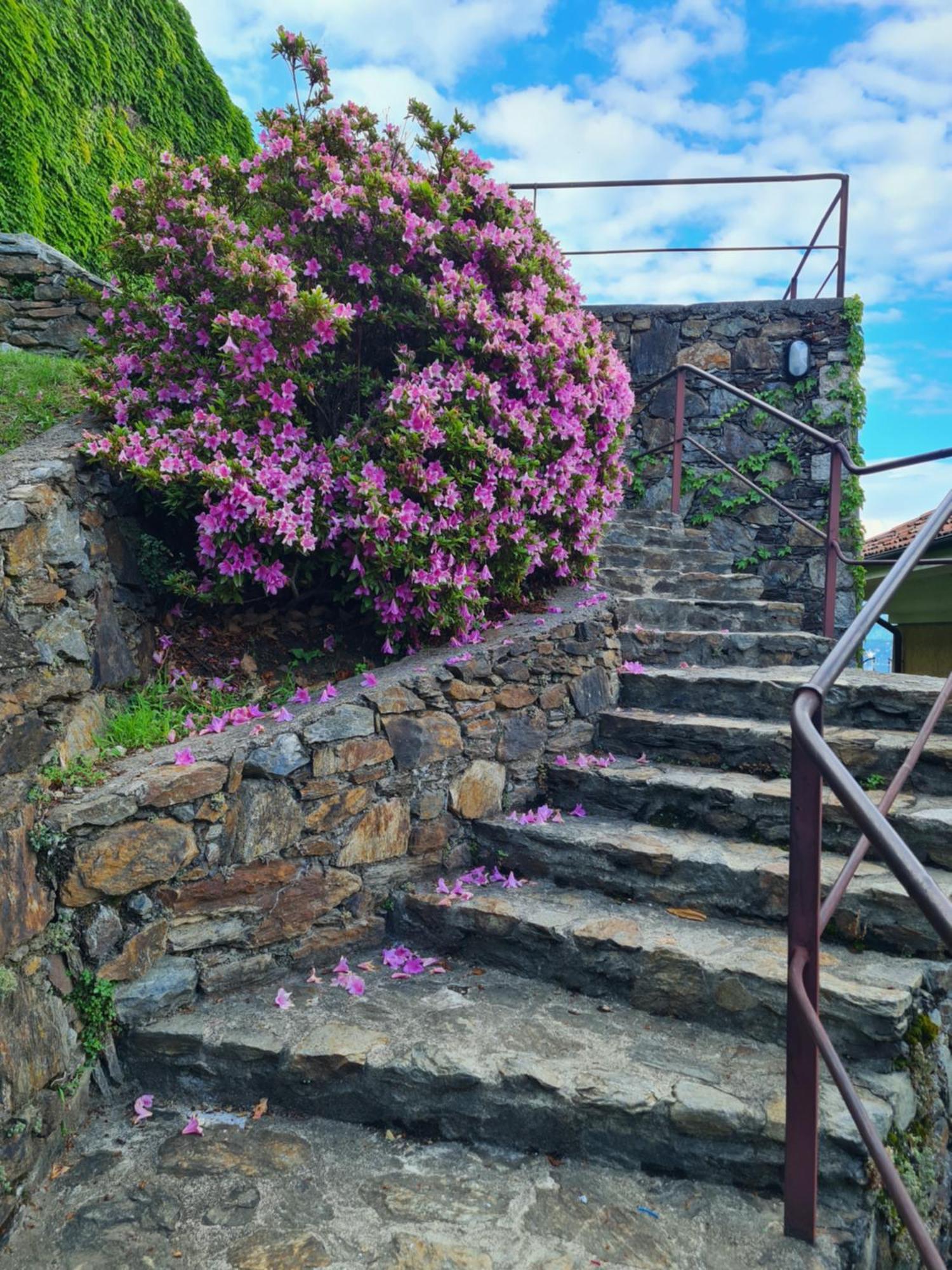 Holiday home Heavenly - Tourist Belgirate